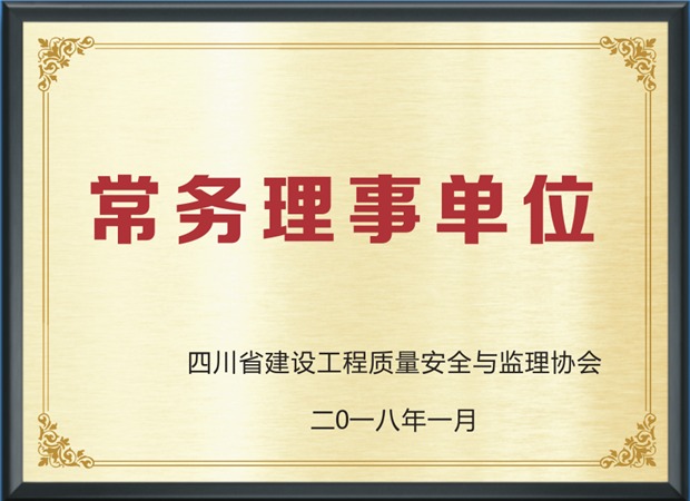 常務(wù)理事單位